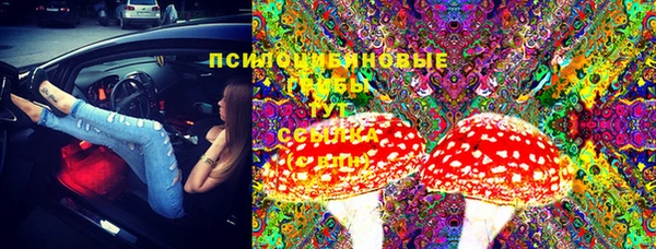 марки lsd Гусиноозёрск