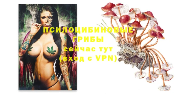 дмт Нязепетровск