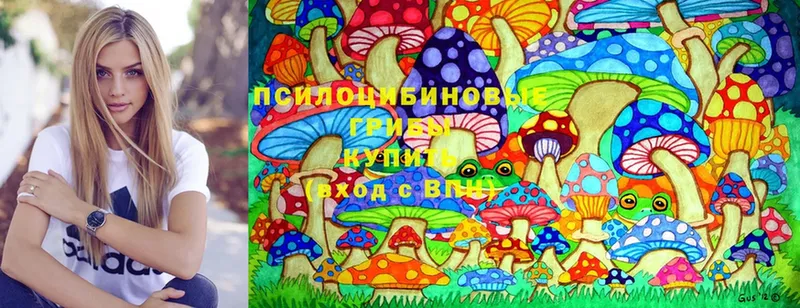 Псилоцибиновые грибы Psilocybine cubensis Андреаполь